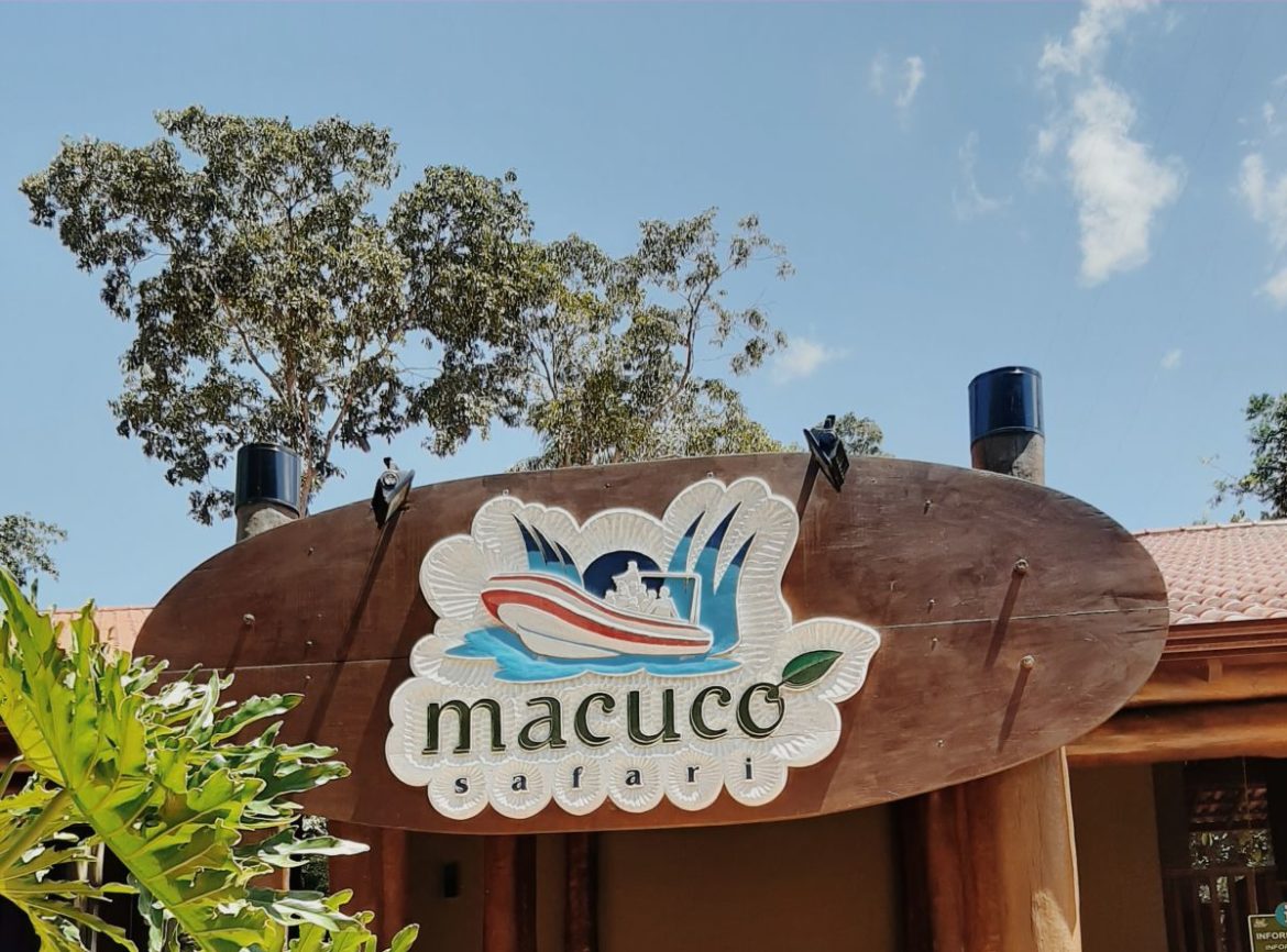 macucosafari-fozdoiguaçu2