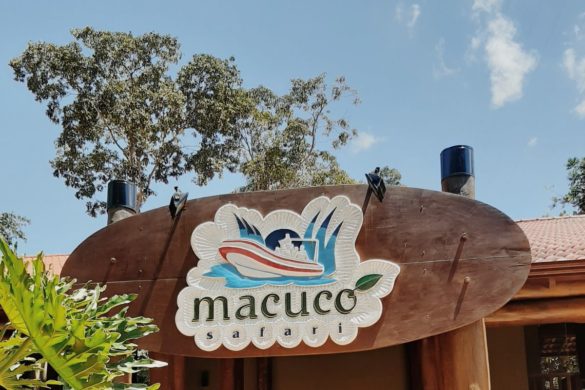 macucosafari-fozdoiguaçu2